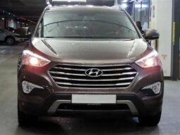 
										HYUNDAI MAXCRUZ full									