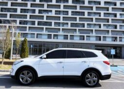 
										HYUNDAI MAXCRUZ full									