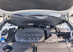 
										HYUNDAI PALISADE full									