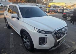 
										HYUNDAI PALISADE full									
