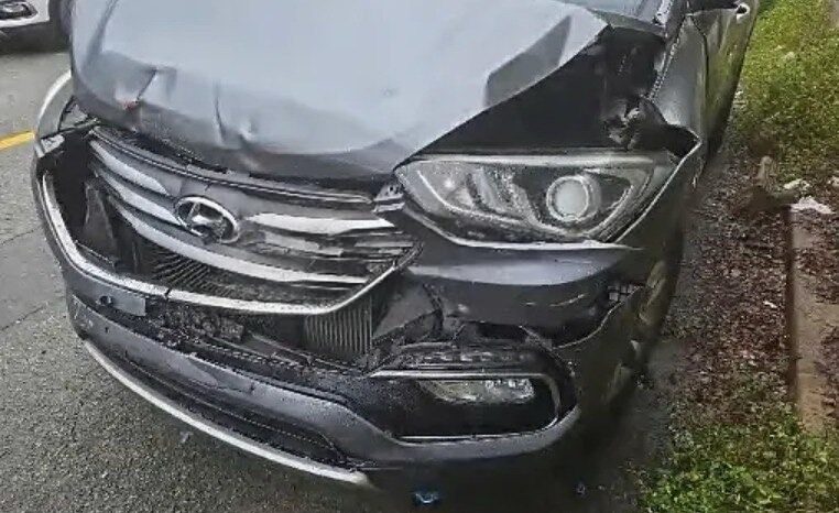 
								HYUNDAI SANTA FE full									