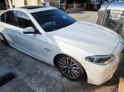 
										BMW 520d full									