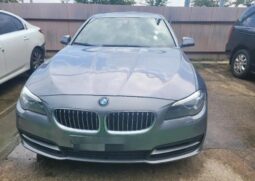
										BMW 520d full									
