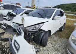 
										HYUNDAI Tucson full									