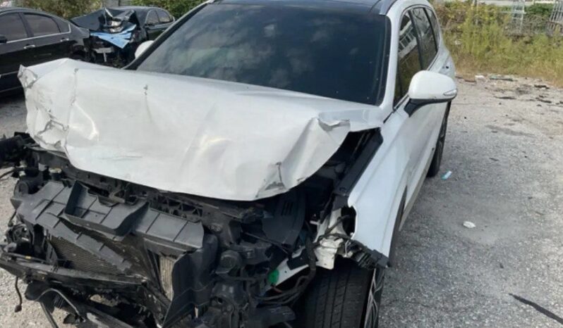 
								HYUNDAI SANTA FE full									