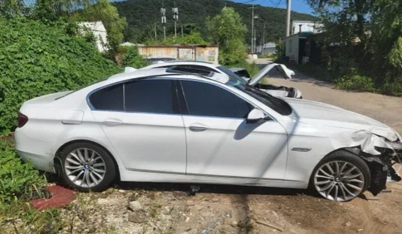 
								BMW 520d full									