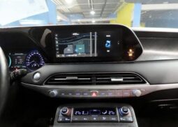 
										HYUNDAI PALISADE full									