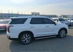
										HYUNDAI PALISADE full									