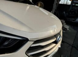 
										HYUNDAI SANTA FE full									