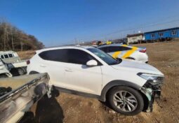 
										HYUNDAI Tucson full									