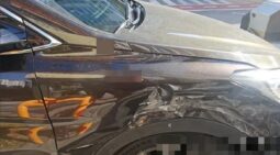
										HYUNDAI SANTA FE full									