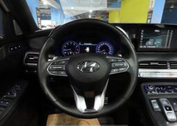 
										HYUNDAI PALISADE full									
