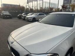 
										BMW 520d full									