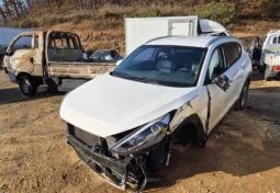 
										HYUNDAI Tucson full									