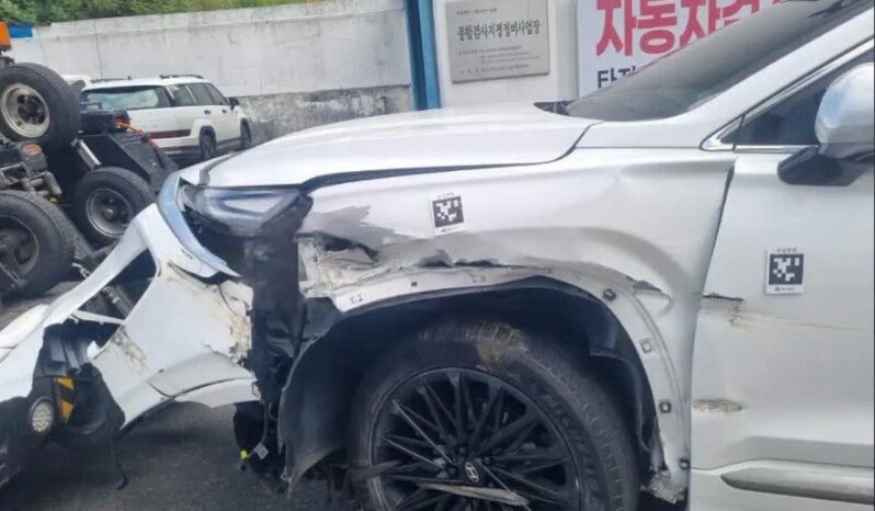 
								HYUNDAI SANTA FE full									