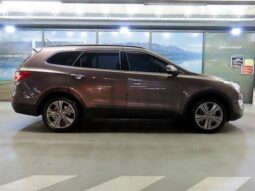 
										HYUNDAI MAXCRUZ full									