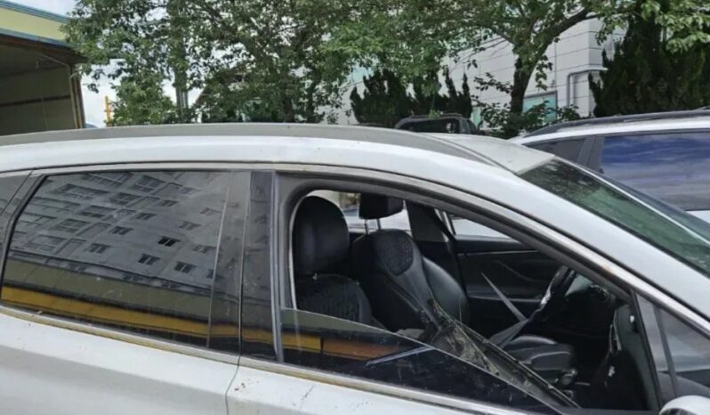 
								HYUNDAI SANTA FE full									