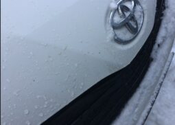 
										Toyota Sienna full									