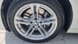 
										BMW 530d full									