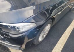 
										BMW 530d Xdrive full									