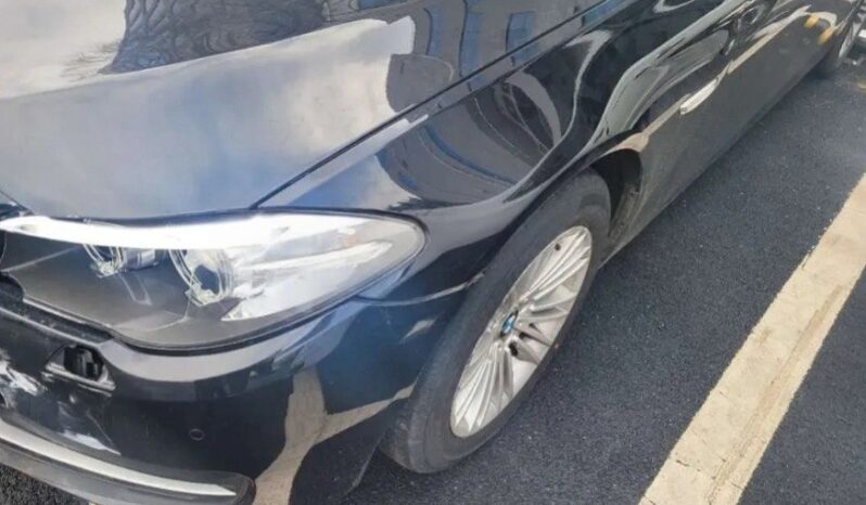 
								BMW 530d Xdrive full									