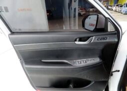
										HYUNDAI PALISADE full									
