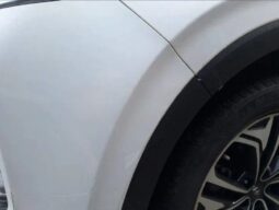
										HYUNDAI SANTA FE full									