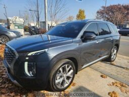 
										HYUNDAI PALISADE full									