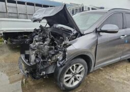 
										HYUNDAI SANTA FE full									