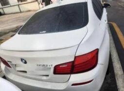 
										BMW 530 Xdrive full									