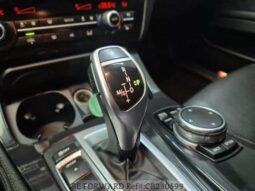 
										BMW 530d Xdrive full									