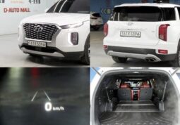 
										HYUNDAI PALISADE full									