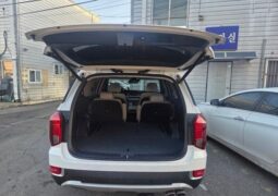 
										HYUNDAI PALISADE full									