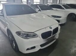 
										BMW 520d full									