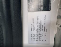 
										BMW 530i M Sport full									