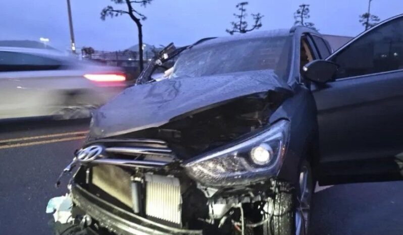 
								HYUNDAI SANTA FE full									