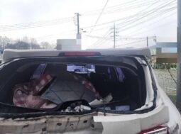 
										HYUNDAI SANTA FE full									