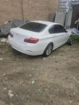 
										BMW 520d full									