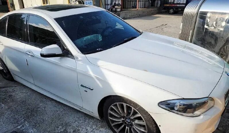 
								BMW 520d full									