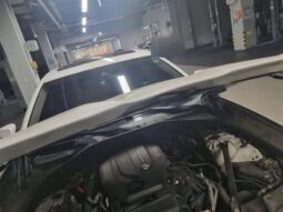 
										BMW 520d Xdrive full									