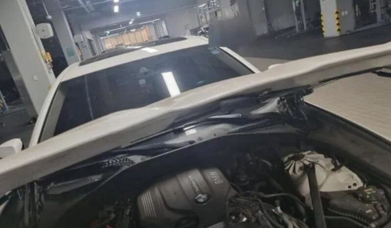 
								BMW 520d Xdrive full									