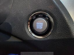 
										HYUNDAI GRANDEUR full									