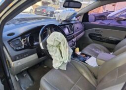 
										KIA CARNIVAL full									