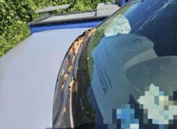 
										HYUNDAI SANTA FE full									
