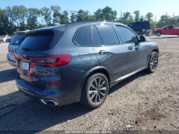 
										2019 BMW X5 full									