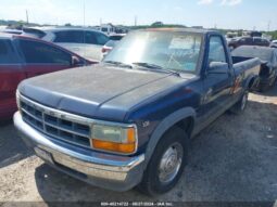 
										1991 Dodge Dakota full									
