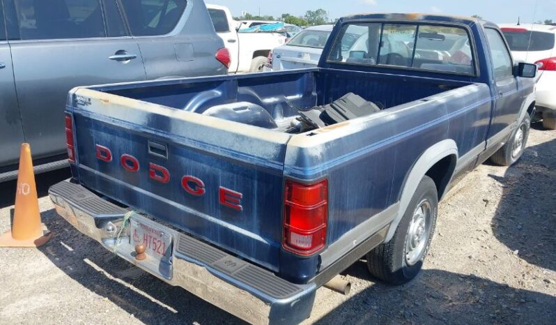 
								1991 Dodge Dakota full									