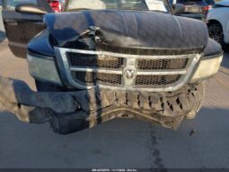 
										2010 Dodge Dakota full									