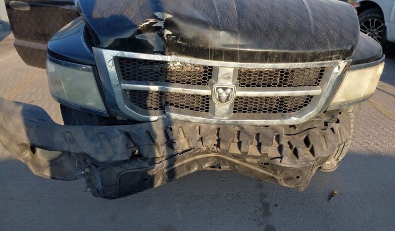 
								2010 Dodge Dakota full									