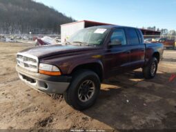 
										2004 Dodge Dakota full									